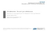 Guidance Diabetic Foot Problems PDF