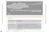 SAP AC105 Col03 Latest Simple Finance 1503 Sample_