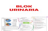 Blok Urinaria