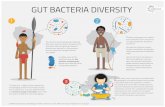 Gut Bacteria Diversity