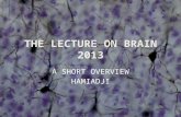 The Lecture on Brain 2013