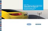 The China New Energy Vehicles Program