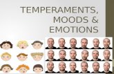 Temperaments, MTEMPERAMENTS, MOODS & EMOTIONS.oods & Emotions