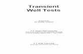 Transient Well Tests
