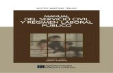 Manual Del Servicio Civil y Régimen Laboral Público, 2014, GJ 614p.