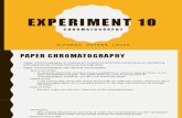 EXP10 Chromatography
