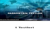 12.Parametrik Testler 1