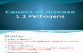1.1 Pathogens