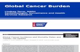 Global Cancer Incidence: An Update