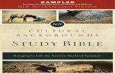 NIV Cultural Backgrounds Study Bible Sampler