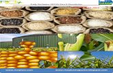 29th December,2015 Daily Exclusive ORYZA Rice E-Newsletter by Riceplus Magazine