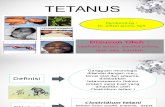 Tetanus Ppt Dila