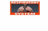 Respiratory System Powerpoint (1)