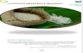 30th November ,2015 Daily Exclusive ORYZA Rice E_Newsletter by Riceplus Magazine