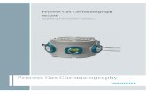 Process Gas Cromatograph
