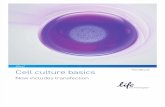 Life Technologies Cell Culture Basics Handbook