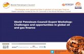 World Petroleum Council Expert Workshop 2014
