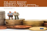 SPC Report on Pensions Adequacy _Vol I