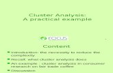 9 Cluster_Analysis Schaer