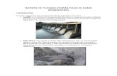 Works of Thomas Downloads in Dams Reservoirs-Ingles