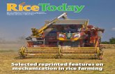Rice Today Special supplement for Farmers' Day