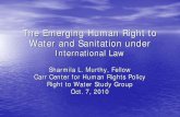 Water Sanitation Human Right Powerpoint_meeting1_20101007