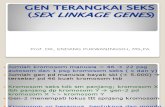 SEX LINKAGE GENES ppt.pdf