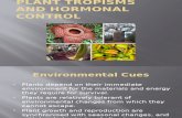 14.1 Plant Tropisms and Hormonal Control