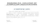 Karuna_ MBA  IT Lab Record (2).doc