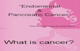 Endometrial Cancer & Pancreatic Cancer_14 ^_^.ppt