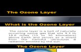 The Ozone Layer (presentation)