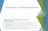 Sickle Cell Disease -