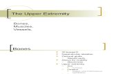 NP Upper Extremity Grays