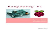Rasberry Pi AAB 1.0
