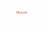 6 Cilia_ Flagella_ Amoeboid Movement_skeletal Muscle Nov 2014 (1)