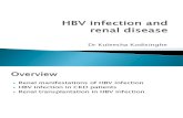 HBV Renal Disease