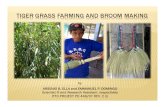 Tiger Grass Farming and Broom Making [Compatibility Mode].pdf