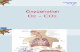 conceopts 0f O2-CO2.ppt_co0
