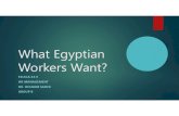 What Egyptian Workers Want -V 9.0