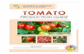 8productionguide Tomato