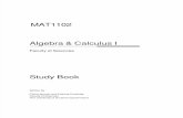 algebra and calculus.pdf