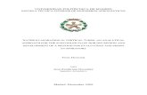 Dimensionamiento y Optimizacion de palantas metalurgicas- Sepulveda.pdf
