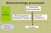 Biotechnology Process