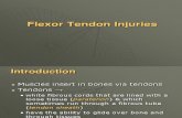 IT 18 - Flexor Tendon PP