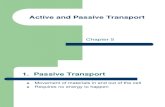 active and passive transport rhs.ppt
