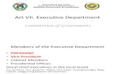 Art VII. Executive Department