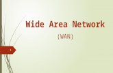 Wide Area Network (WAN).pptx