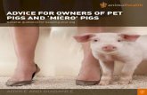 Animal Health - Advice for Owners of Pet Pigs and Micro Pigs
