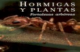 Zoologia Forestal - Entomologia - Hormigas y Plantas