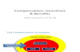 Session 17 and 18 - Compensation, Incentives
